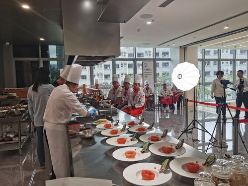 星级粤菜师傅 以高水平技艺推动高质量发展，满足人民美好生活需要
